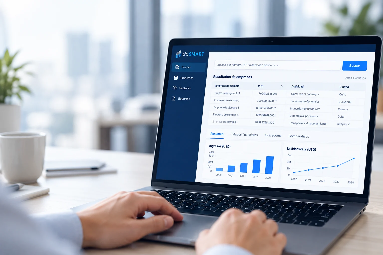Vista ilustrativa de información empresarial en la plataforma